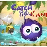 Catch the Candy