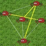 Tangled Spiders