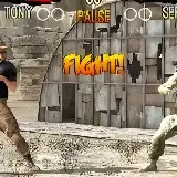 Настоящий Strike Tiger Fighting