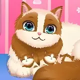 Игра Роды Милой Кошки