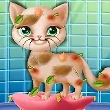 Игра Спасти Бездомную Кошку