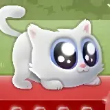 Игра Экстремальный Кот