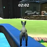 Cat Simulator game