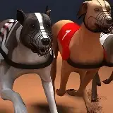 Игра Гонки борзых