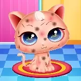 Игра Уход За Милой Кошечкой