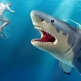 Охота на акул