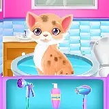 Игра Спасение Котенка Маленькой Принцессы