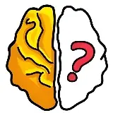 Brain Out game