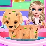 Baby Elsa Puppy Surgery