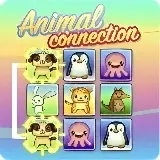 Animal Connection
