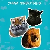 Игра Учим Животных: Для Малышей
