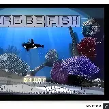 Здесь будет рыба