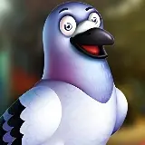 G4K Candid Pigeon Escapee