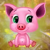 G4K Funny Baby Pig Escapee