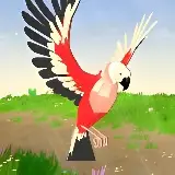 Игра Симулятор Попугая
