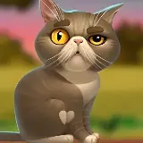 PG Comely Cat Escapee