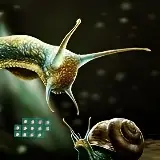 BIG-Fantasy Snail Land Escape HTML5e