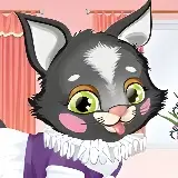 Игра Мой Маленький Котенок
