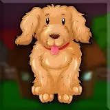 G2J Poodle Puppy Escapee