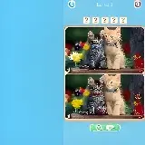 Игра Поиск Отличий
