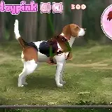 Beagle Training