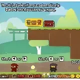 Ninja Duck Adventure
